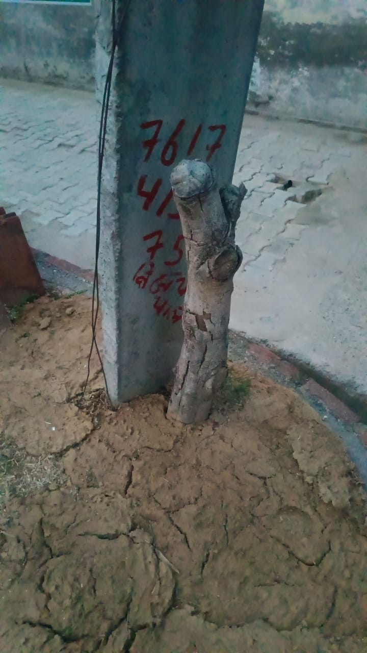 Broken electric pole could not be replaced even in five years