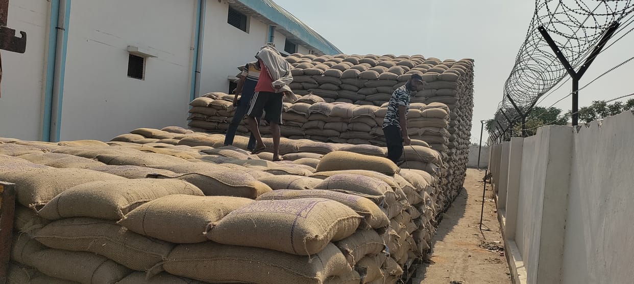 record purchase of wheat
