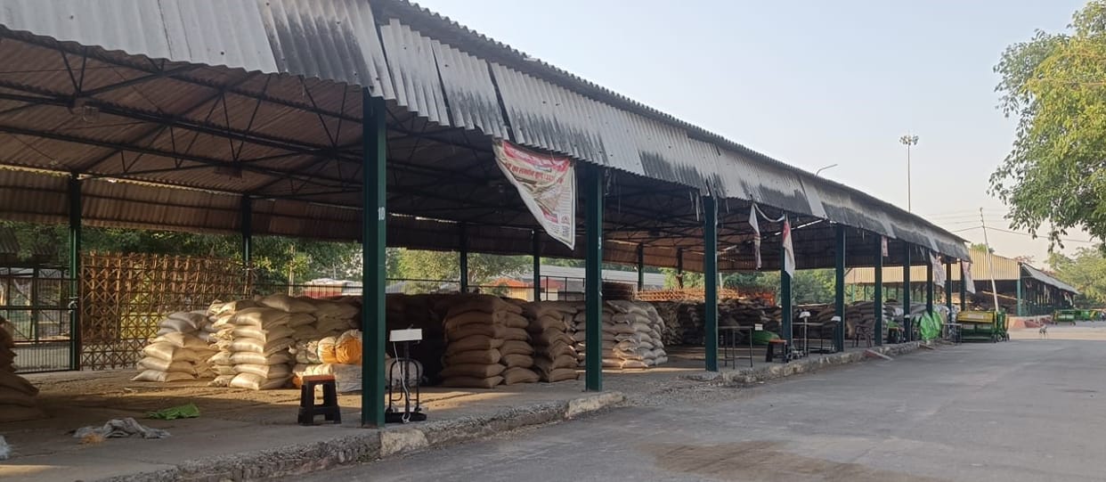 Silence at purchasing centers, till now only 22.53 percent wheat purchased