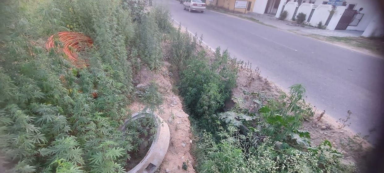 Fear of accidents due to pit dug on Santoshgarh-Ajoli road