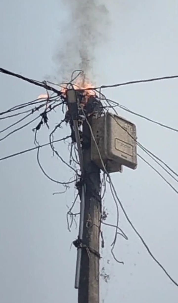 Electric wire fell, bull died due to electrocution