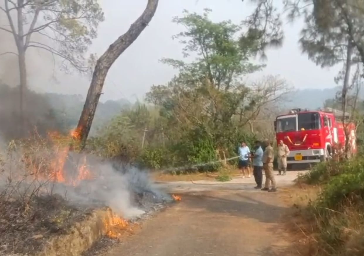Fire broke out in the forests of Bangana, Chintpurni, ashes burnt in Badaun