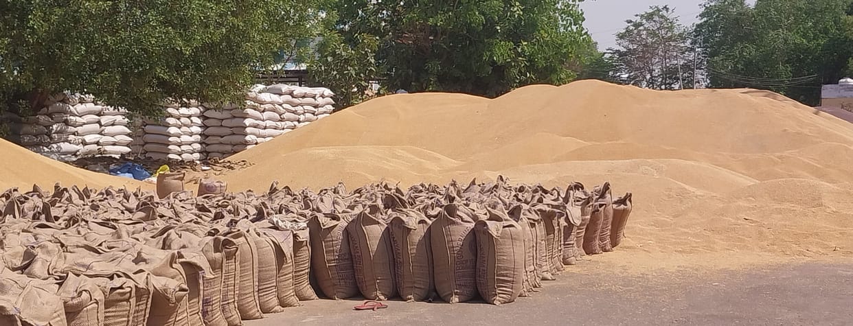 2.85 lakh quintals of wheat lifted, 78 thousand quintals still lying at procurement centers