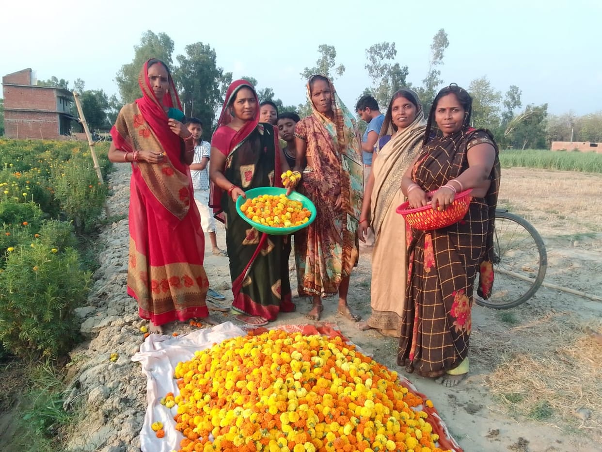 Half the population started the initiative... Aamkoil became financially self-reliant