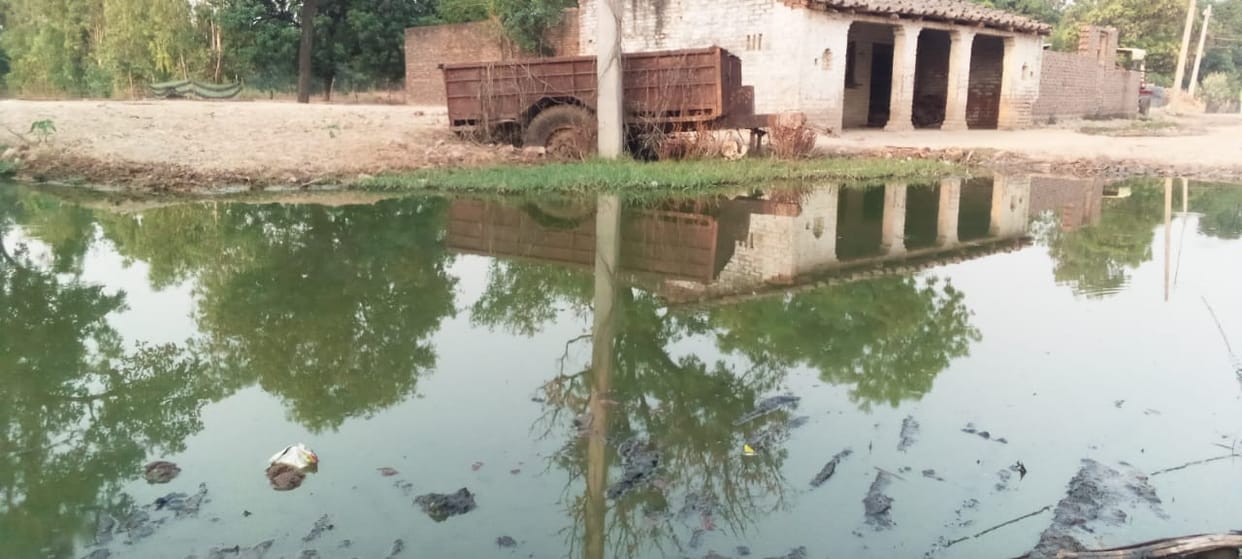 This is not a pond, it is the road to Majra Naugawan Govindpur village.