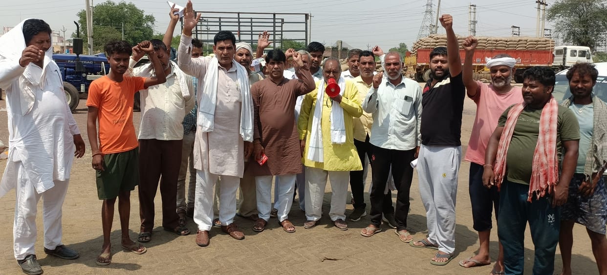 Crop procurement work resumes in Jhojhukalan mandi
