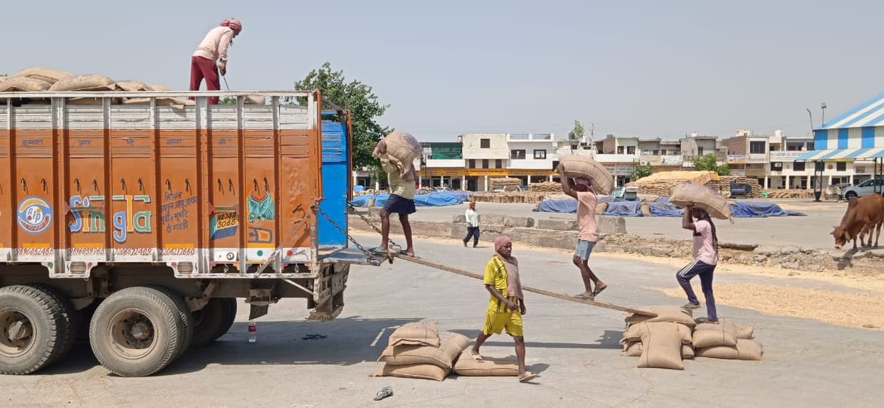10 lakh quintals more wheat reached grain markets than last year