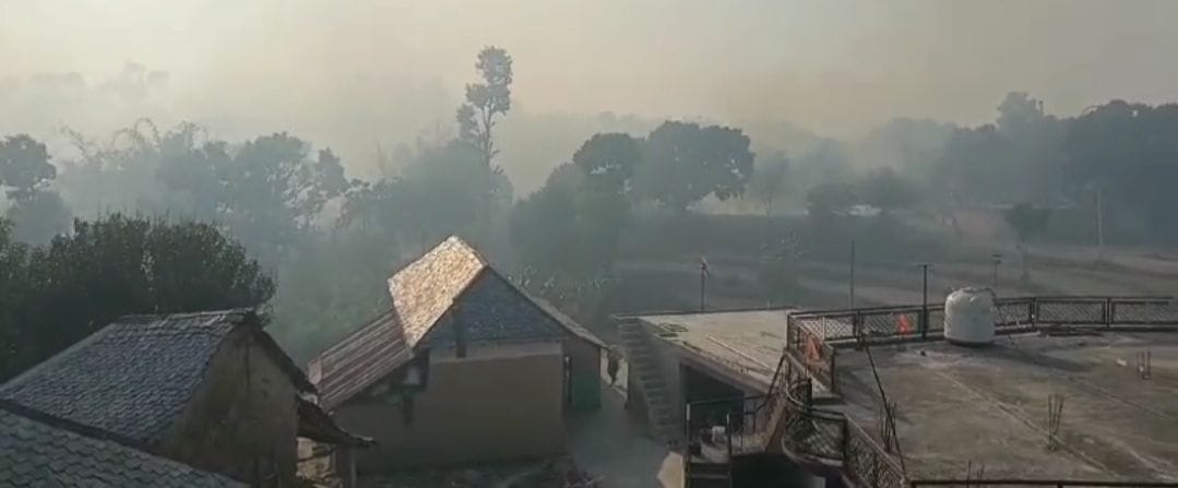 Forest fire increases the problem, elderly and children have difficulty breathing due to smoke