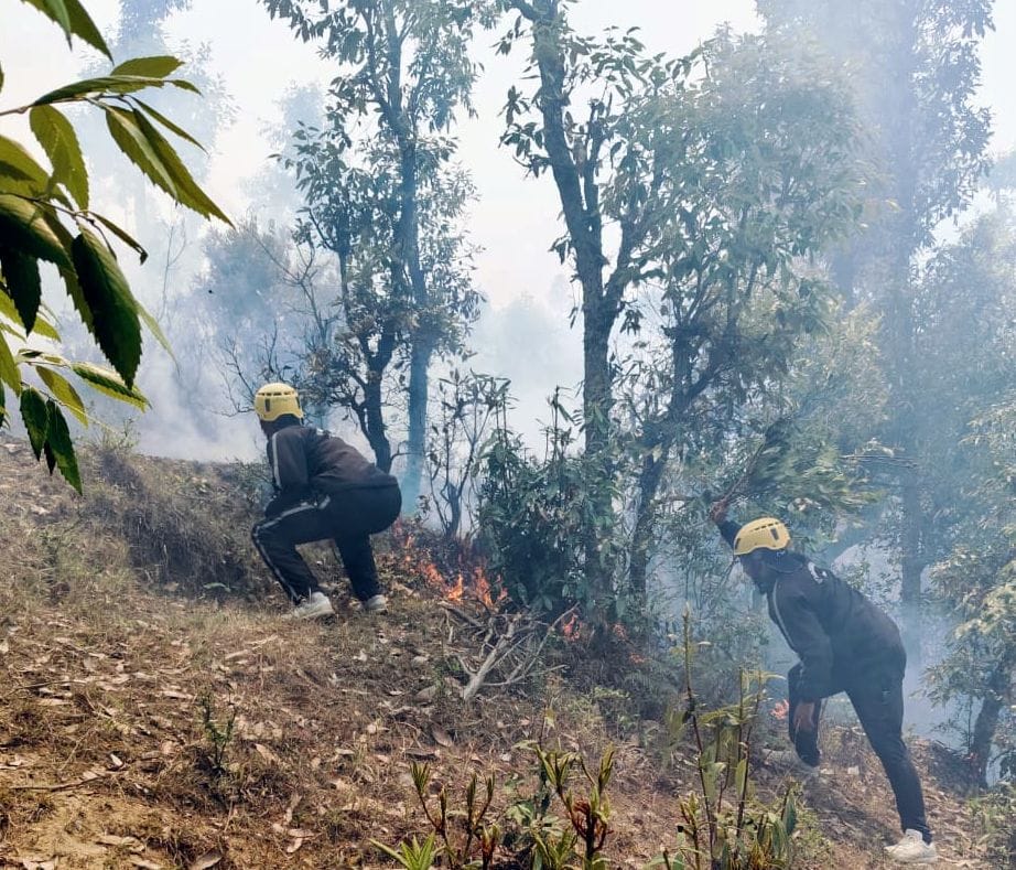 The forest of Banigaon has been burning for two days