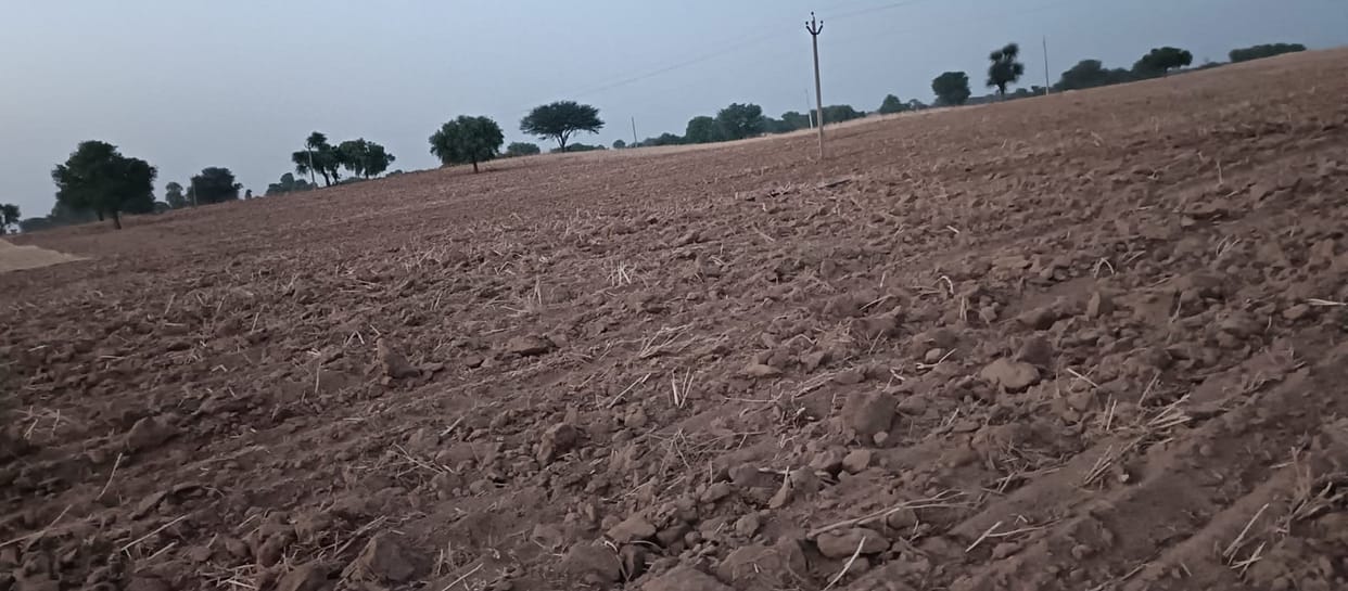 Monsoon has been weak for 10 years, this time there is hope of good rains.