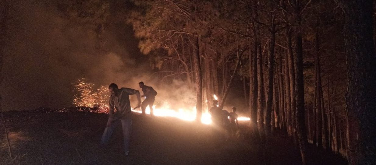 Gola forest kept burning, but those who started the fire were not found