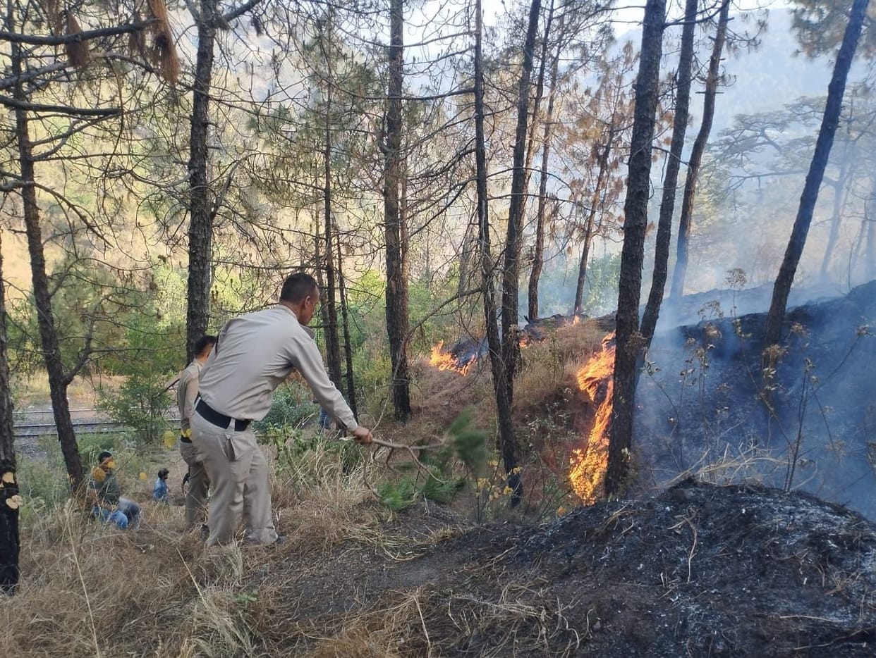 fire incidents in solan