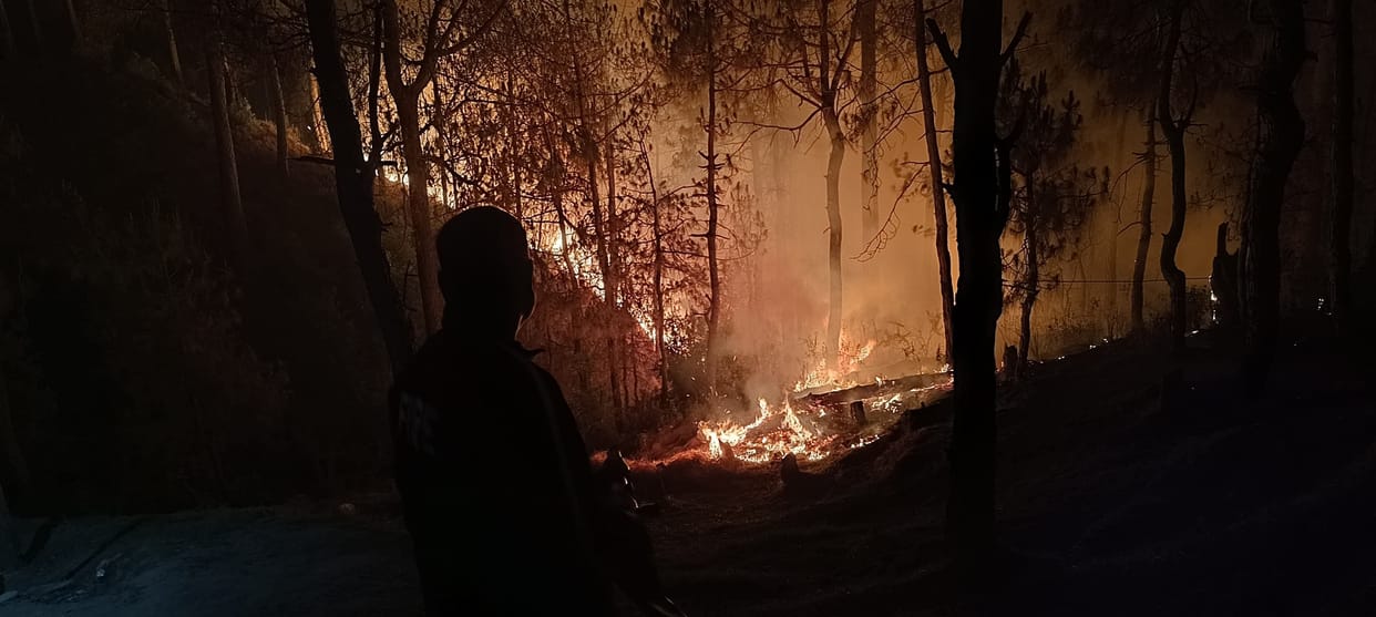 Forest fire reaches golf ground in Ranikhet