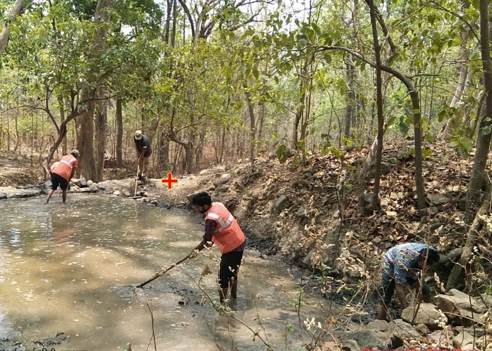 The water sources in the forests also started decreasing.