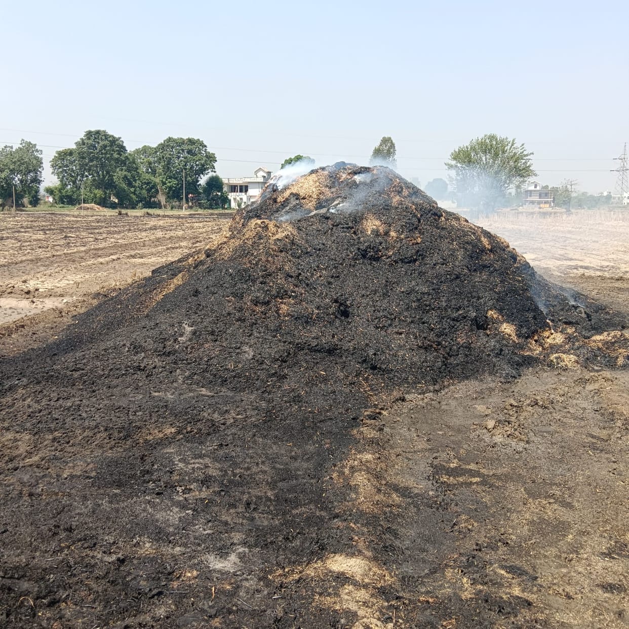 60 quintals of broken ash in Takarla