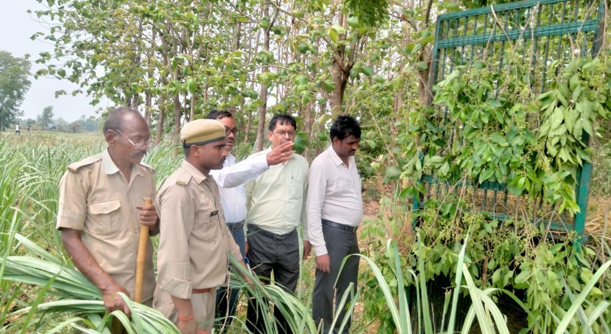 Three injured in leopard attack, panic among villagers