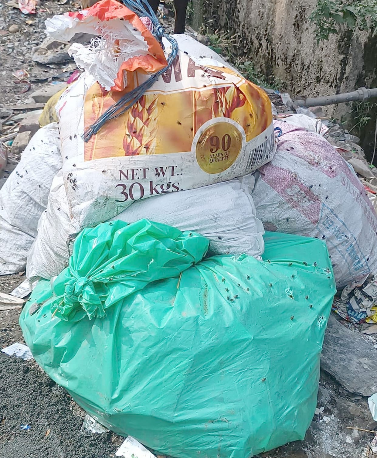 Wet garbage not picked up from the city, piles of garbage bags in the wards