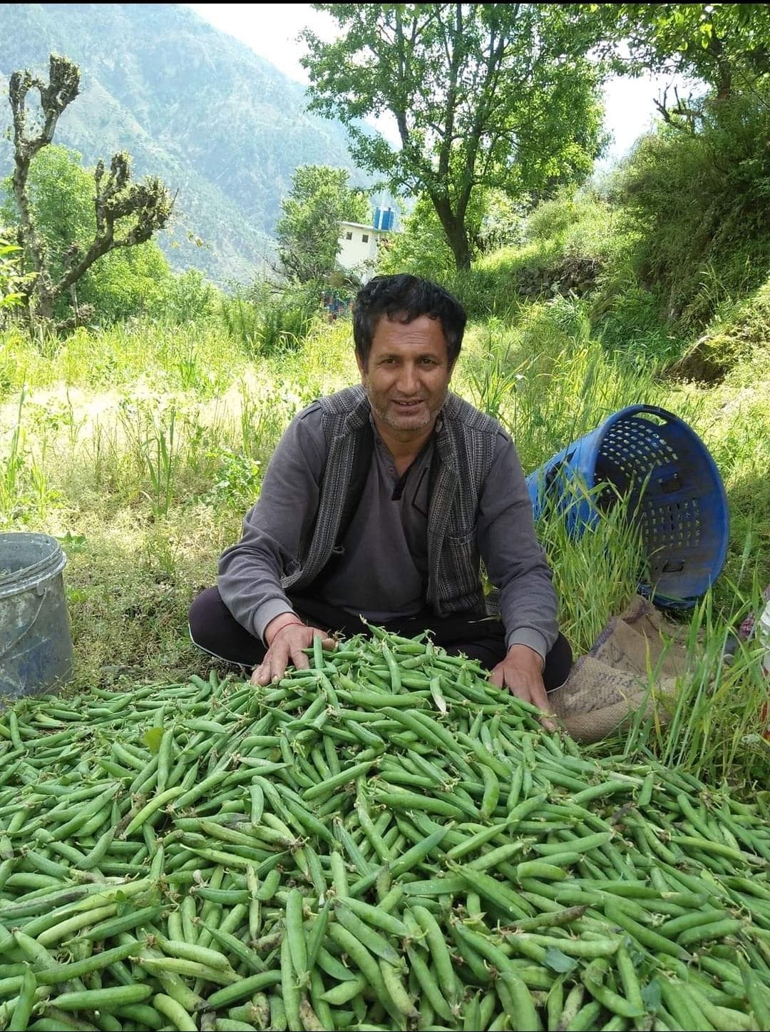 Natural sources started drying up, water in drinking water schemes reduced by 25 percent