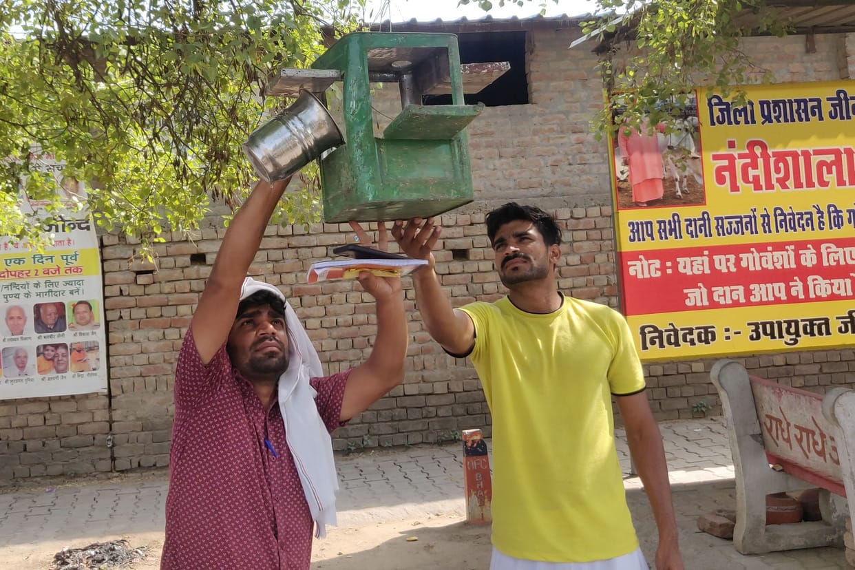 Youth organization engaged in arranging food and water for birds
