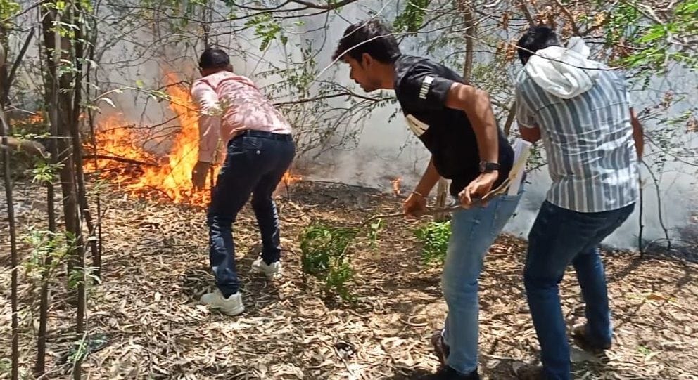 Fire broke out in trees of roadways workshop, extinguished in one and a half hour