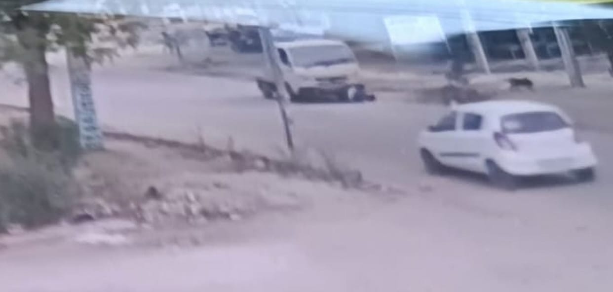 Worker dies after being hit by vehicle