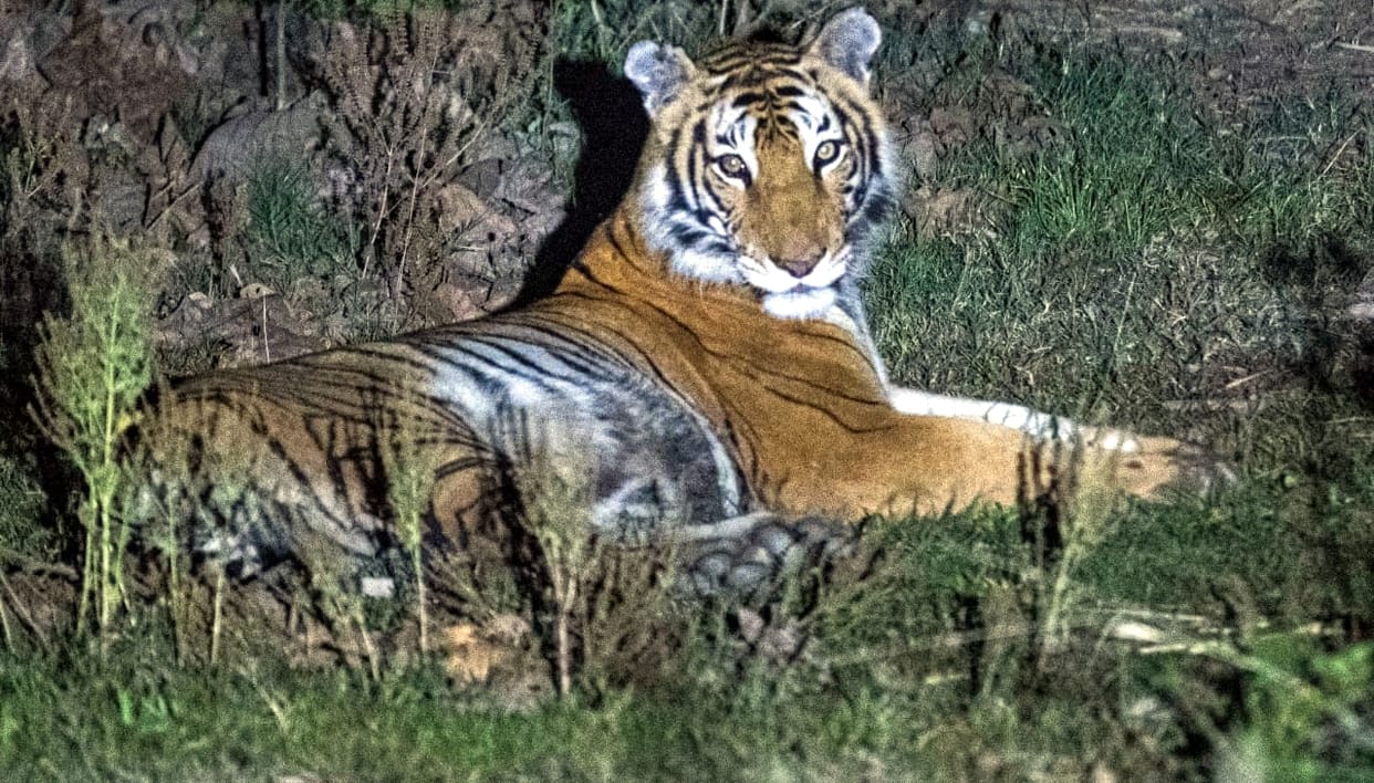 Tourism attractions are continuously increasing in Amangarh