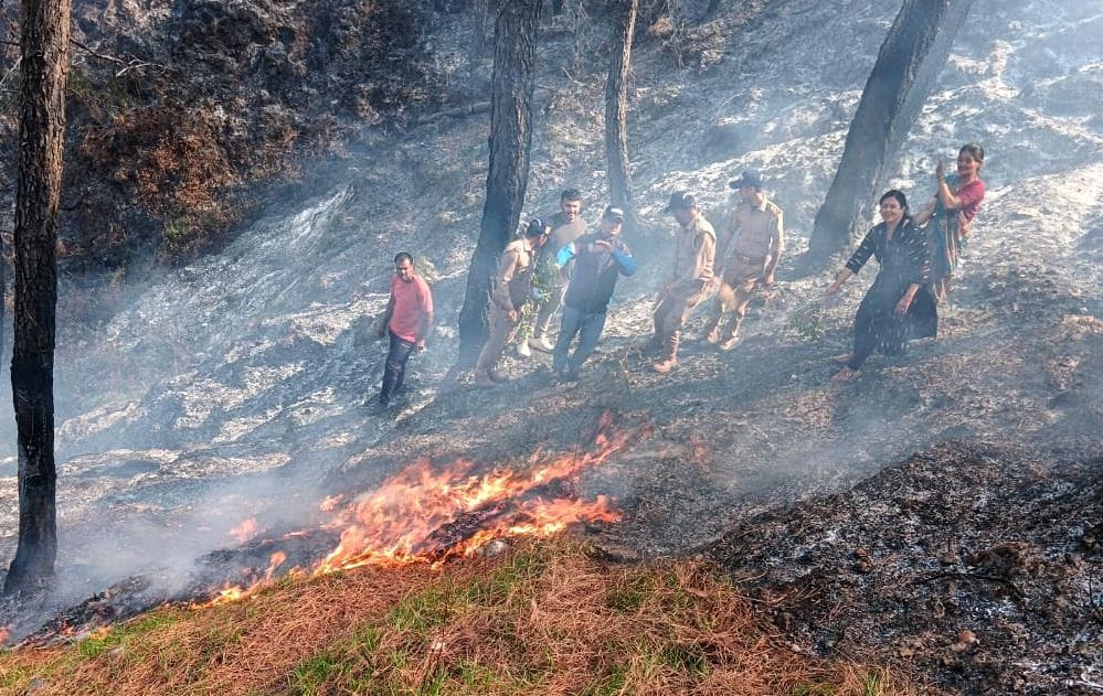 When the weather cleared, Dhapoli forest blazed, people extinguished the fire