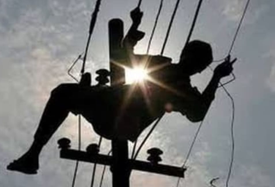 Electricity theft in Punjab 296 FIRs registered in August 38 employees dismissed