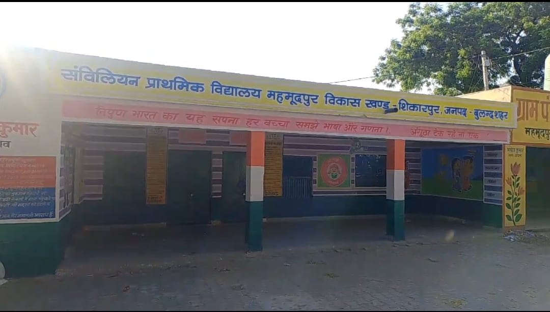 Dog dies in school, explanation sought from headmistress
