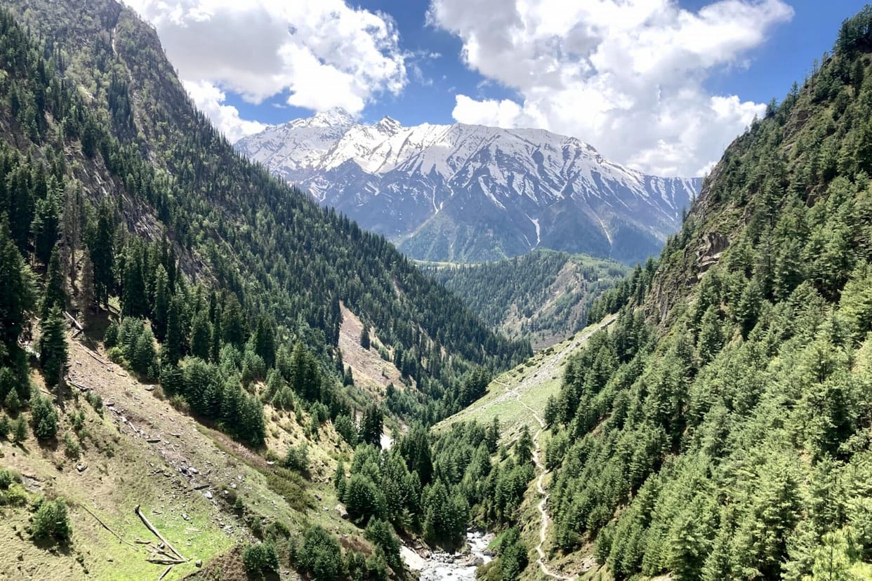 Survey of snow leopard, brown bear and musk deer will be done in Kugti.