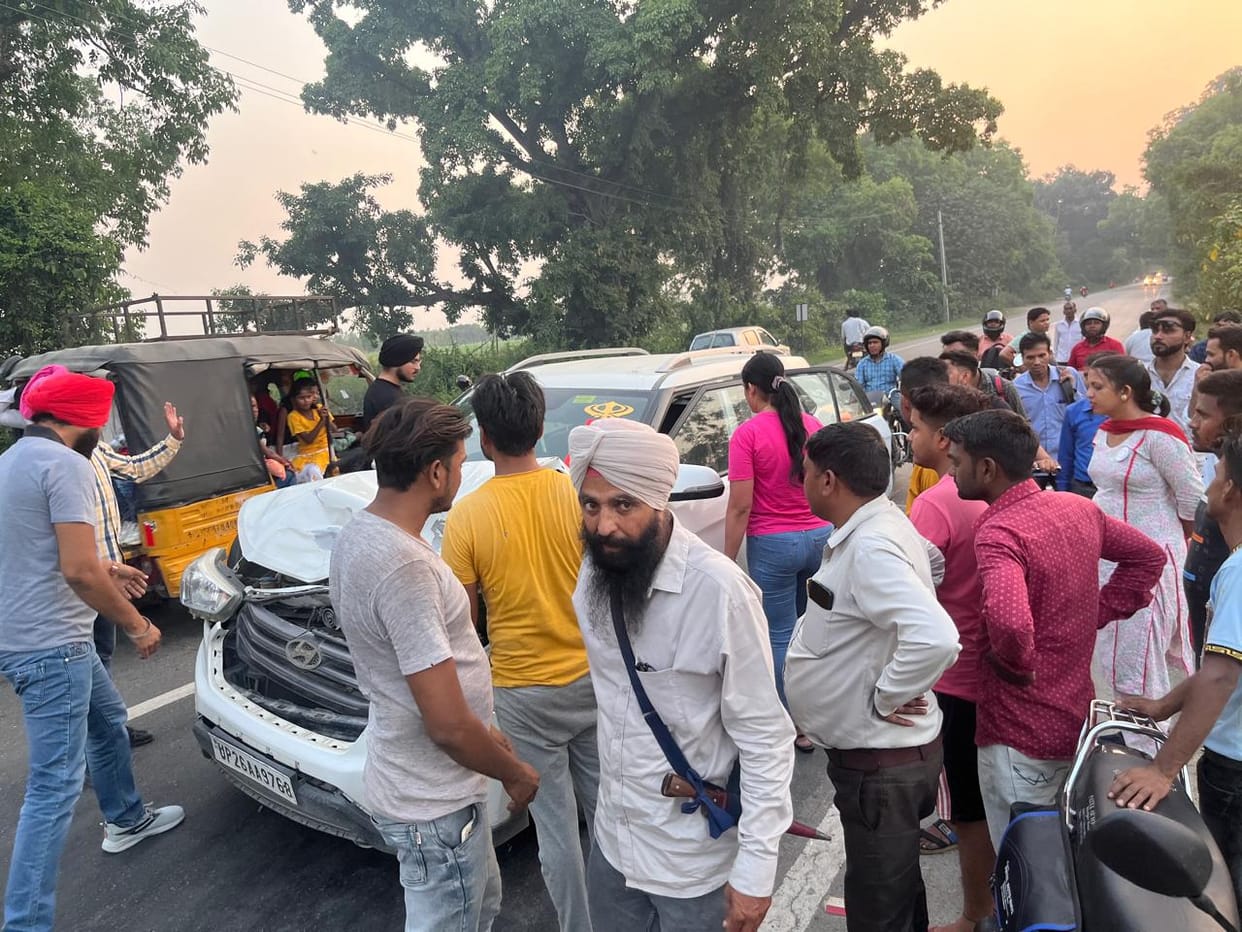 Nilgai dies due to car collision