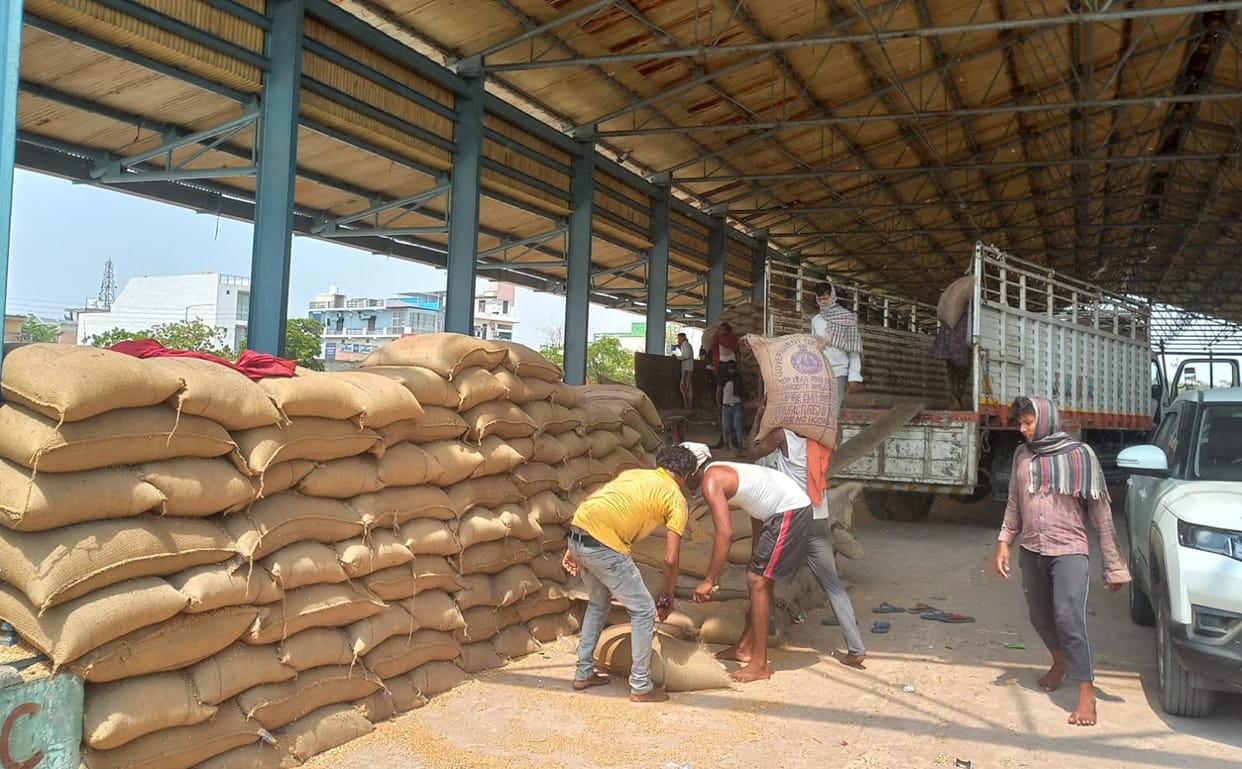 Wheat did not arrive in the markets on the last day, only lifting took place