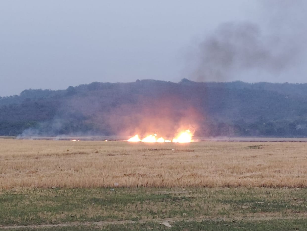 There is a possibility of birds getting caught in the fire on the banks of Pong Lake.