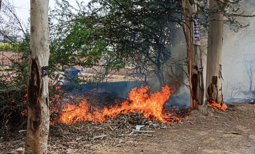 Fire of wheat straw reached trees on the highway near Delhi bridge, eight trees burnt