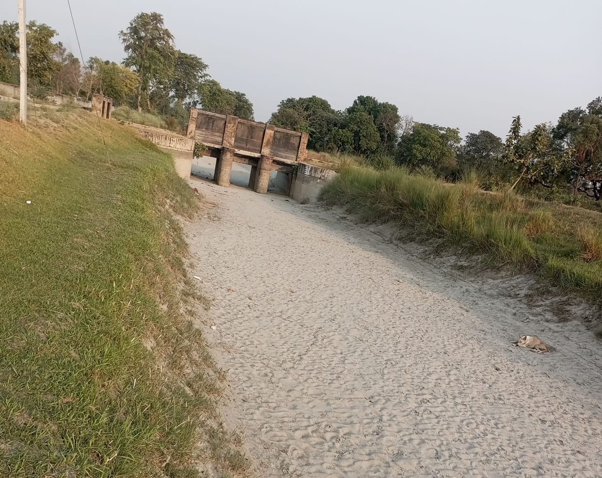 No water in canals, crisis on crops