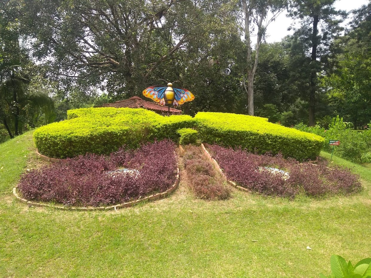 Butterfly park will be built in the district on the lines of Chandigarh, conservation will also take place