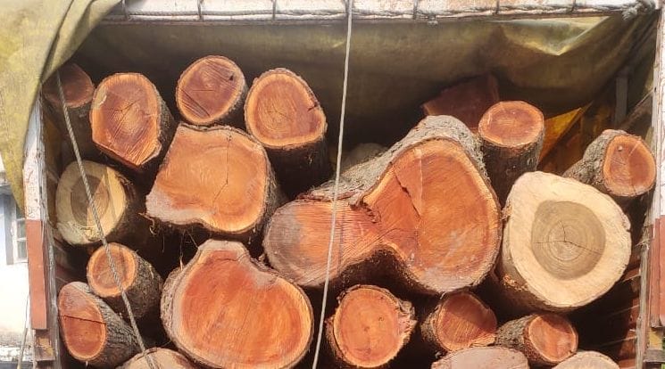 Truck driver arrested with precious wood