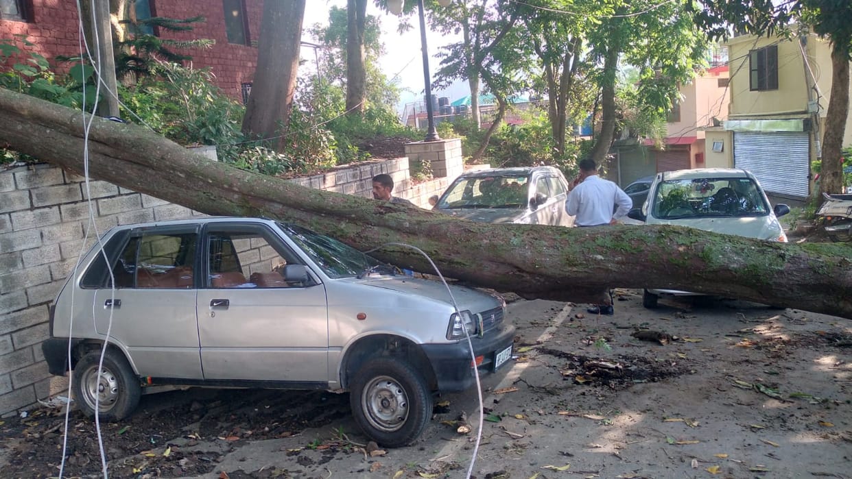 Tree fell on car due to storm, car damaged, 60 transformers stalled in Dharampur