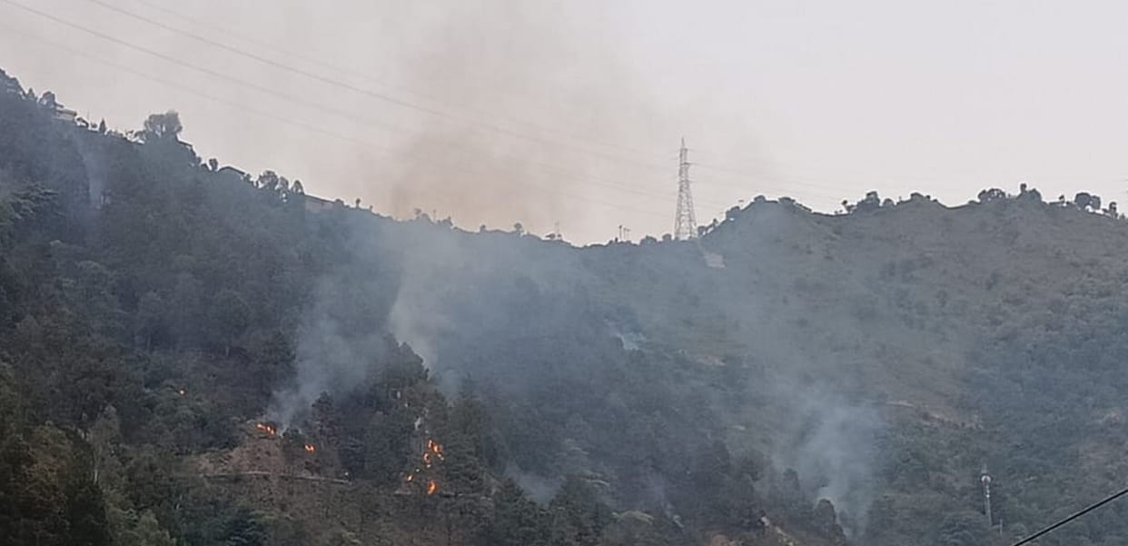 Temperature rises in Chamba, now forests start burning