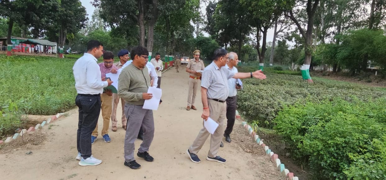 Saplings will be planted in 250 hectare area in Dhampur range.