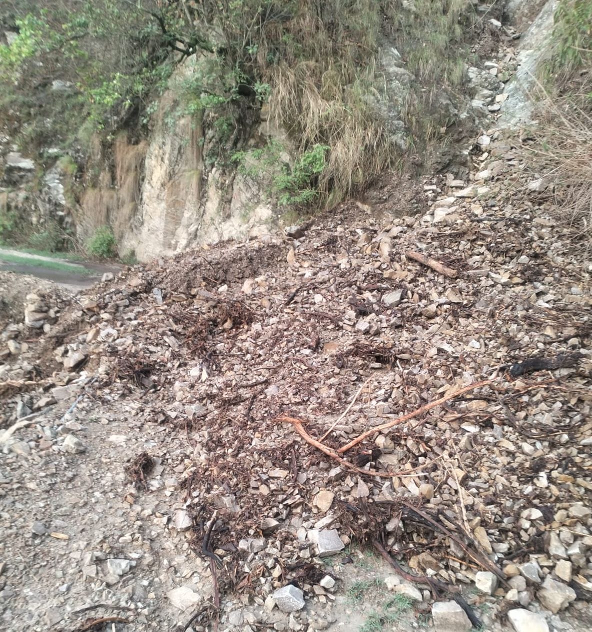 When will the administration take care of the bad roads in kumaon
