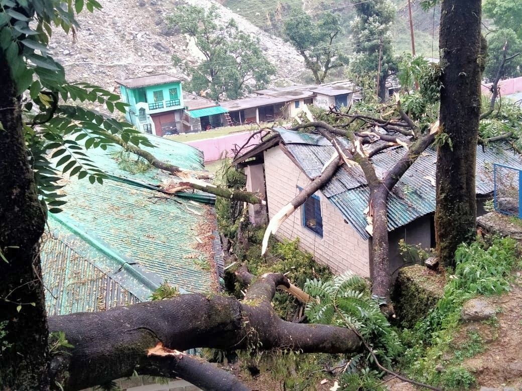 Inter college door building collapsed due to falling tree