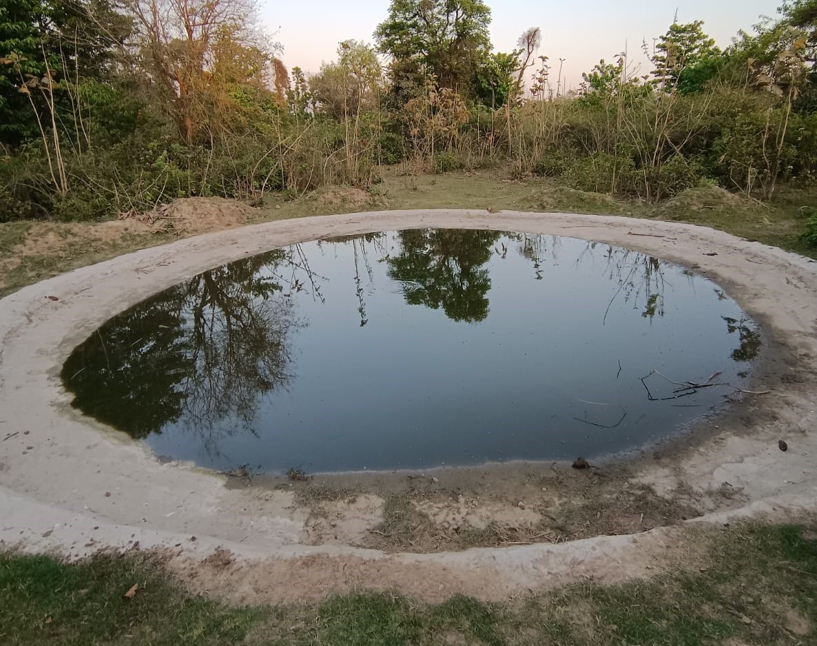 All the wild animals of Rajgarh forest range depend on one water hall.