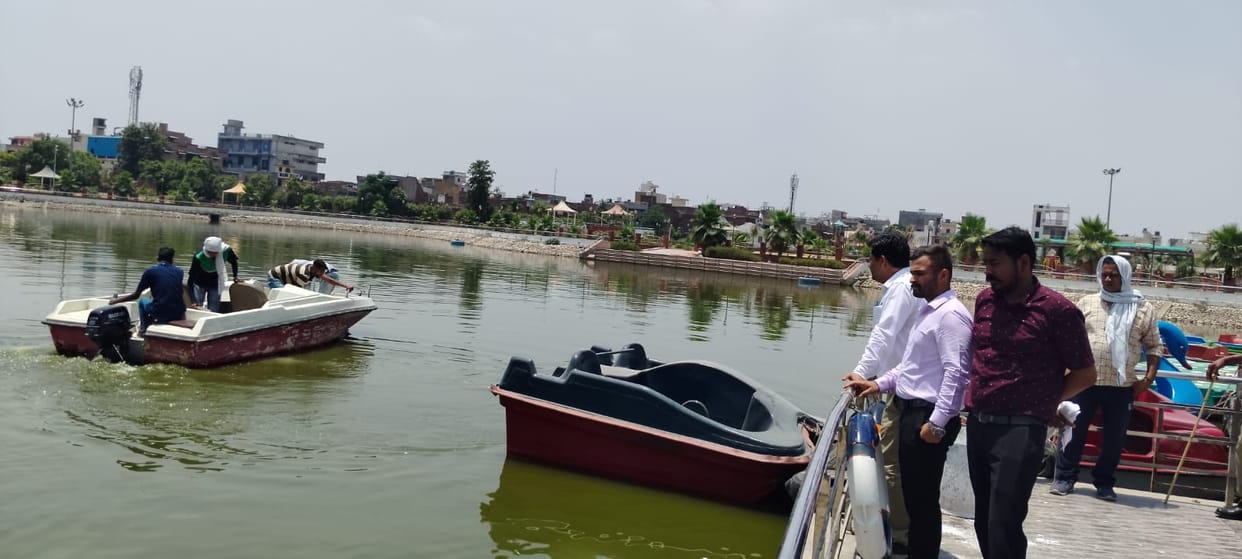 Lack of oxygen in water and ammonia gas become cause of death of fishes in ambala