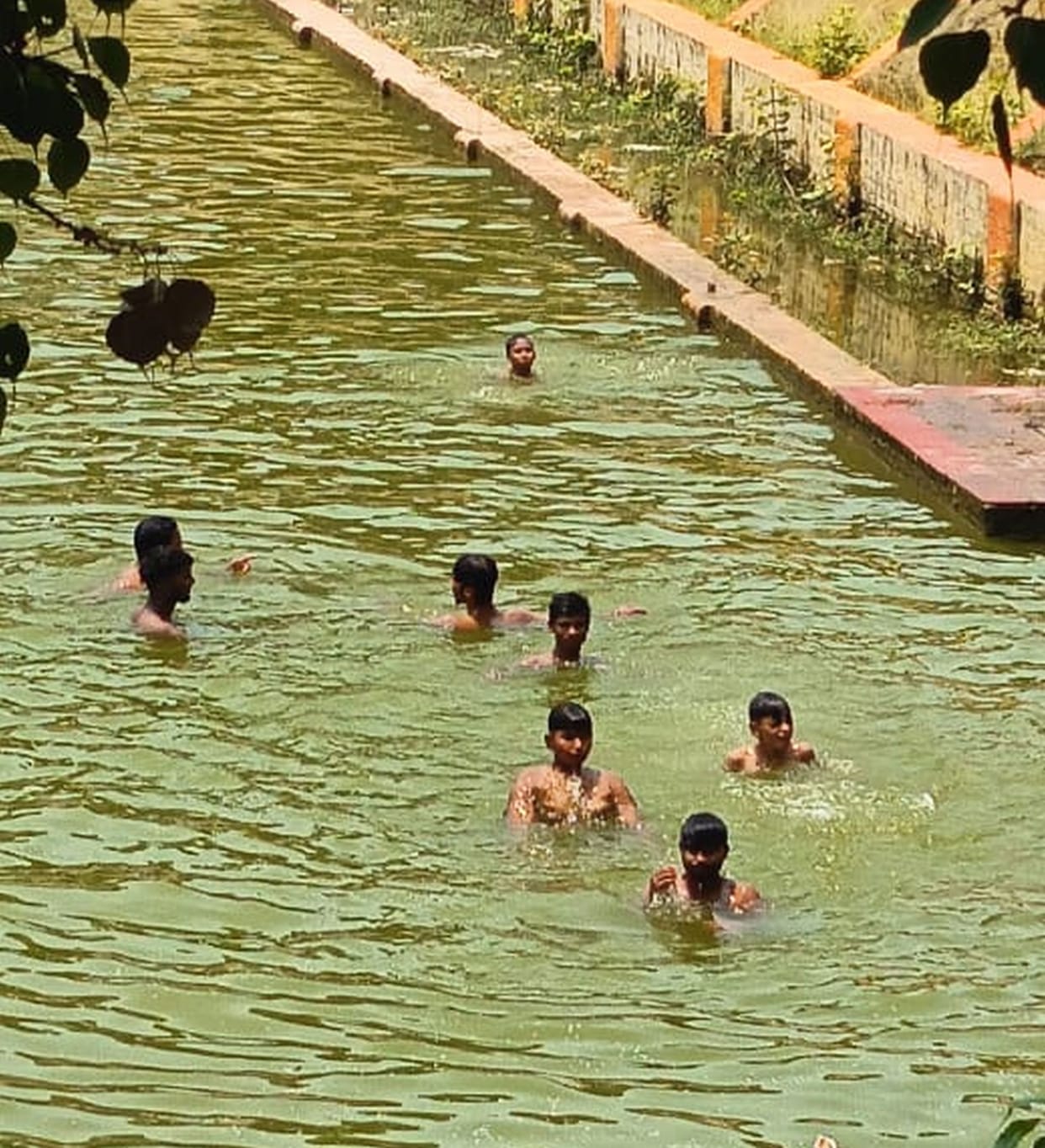 The temperature reached 41 degrees, heat waves scorched