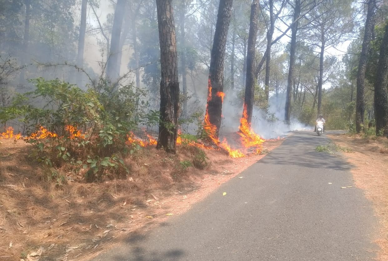 Many forests caught fire at the same time, pump house, PHC burnt down
