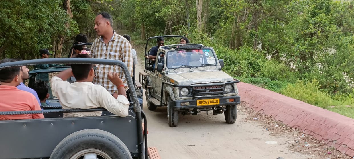Tourism remained closed on the unpaved track after the conflict between tigers