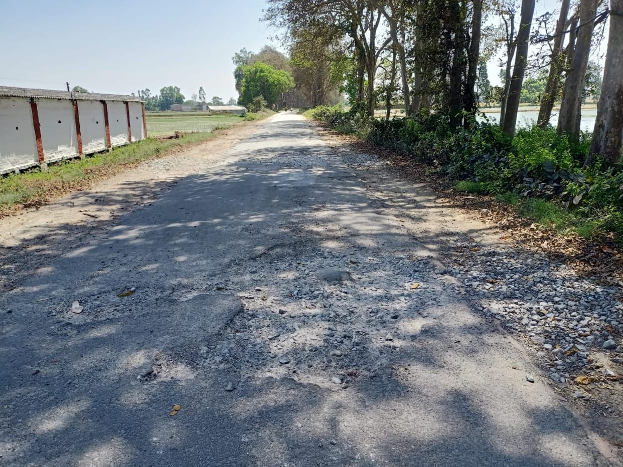 Aliganj-Bijua road will be built with Rs 45.55 crores