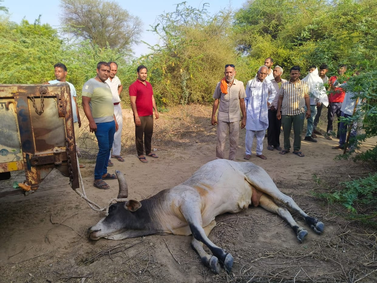 Bull out of control in Kaliyana village