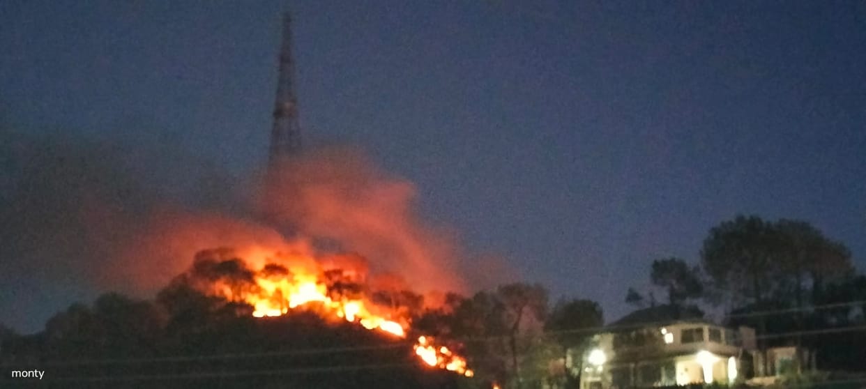 jungle burnt in saranha